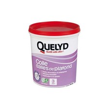 QUELYD COLLE DALLE PLAFOND 1KG