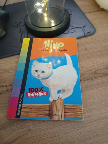Bayard jeunesse nino chaton - bayard, le
