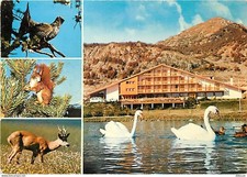 Carte Postale - Animaux -