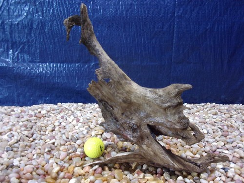 Medium driftwood x11 - driftwood, 12"x11"x04"