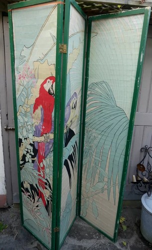 Tropical morita design - tropical,