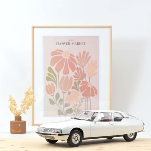 Citroën genève - sm,