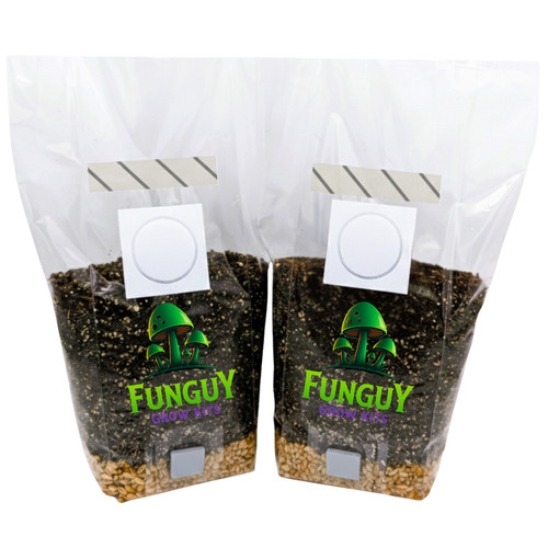 Pack all in - all-in-one, mushroom
