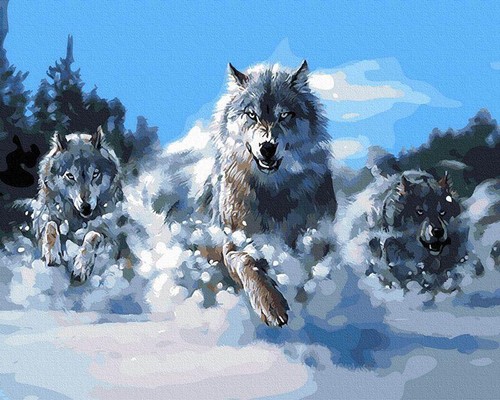 Peinture par numéros cadre - , en