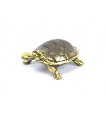 Tortue de terre en laiton -