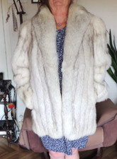 VESTE en  RENARD BLEU - T42  /