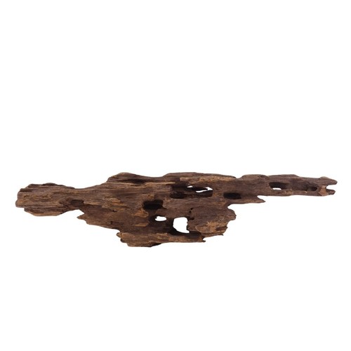 Honey peigne racine 2980 - l, nr.2980
