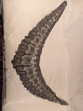 Guipure Dentelle Noire XIXe