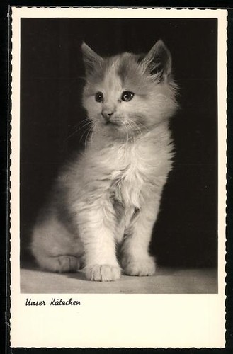 Carte postale photo - , notre