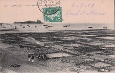 35 CANCALE PARCS AUX OYSTERS