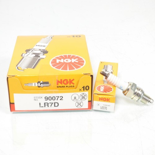 Bougie allumage ngk - bougie, pour