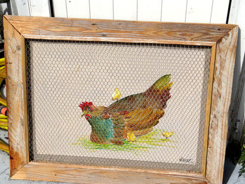 Agriculture elevage poule - elevage,
