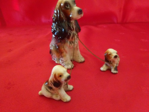 Cocker ses chiots en - cocker,
