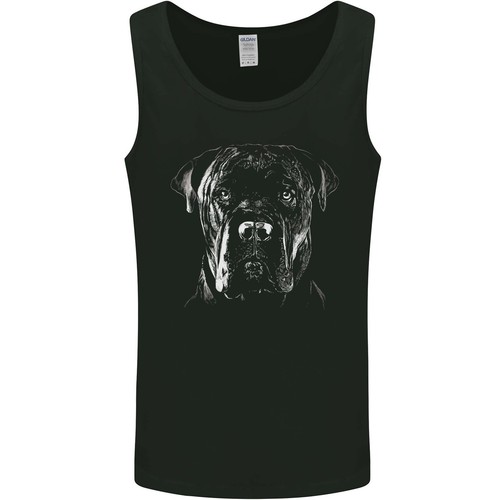 Cane corso tête tir - cane,