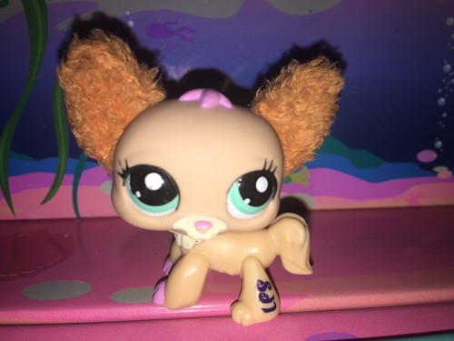 Authentic littlest petshop - authentic,
