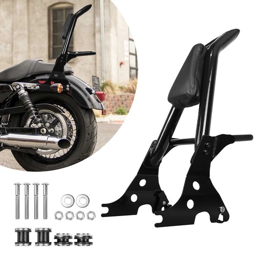 Rear passenger sissy bar - rear,