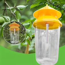 Piège à Guêpe Frelons