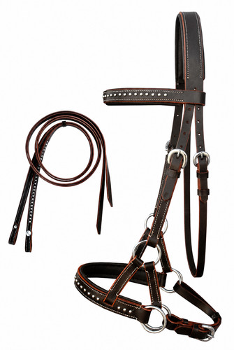 English western horse - western, leather