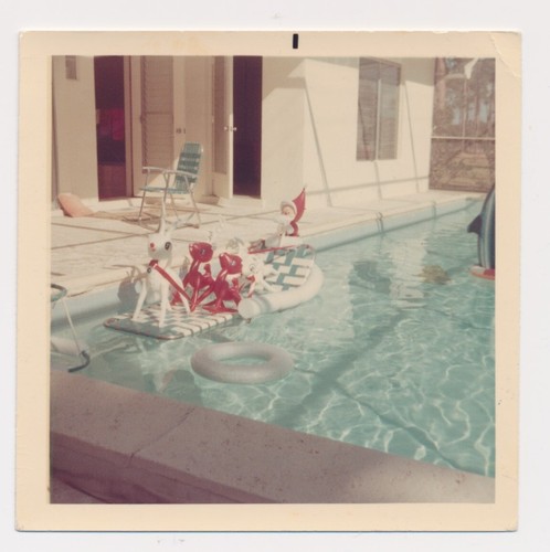Snapshot photo vernaculaire - photo,