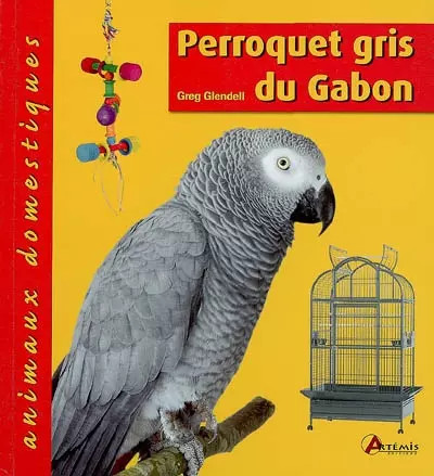 Perroquet gris gabon greg - du, gabon,