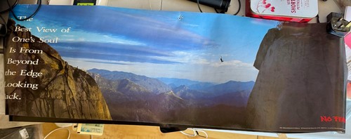 Vintage posters 1994 fear - no,