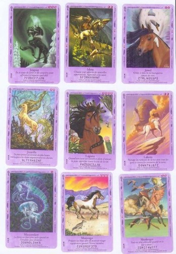 Cartes cheval chevaux - cheval,