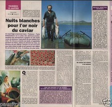 Coupure de presse Clipping