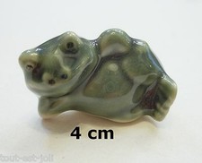 superbe grenouille miniature