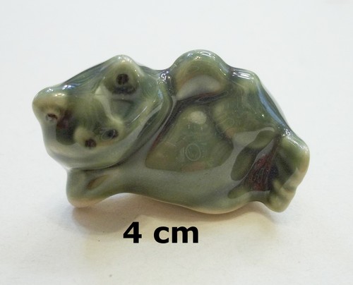 Superbe grenouille miniature - superbe,