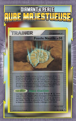 Fossile nautile reverse - nautile,