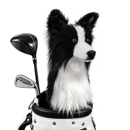 Border collie dog head golf - head,