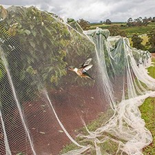Filet extérieur anti-oiseaux