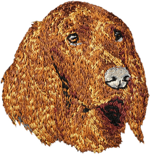 écusson brodé forme de - brodé, en
