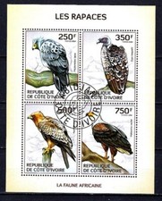 Animaux Oiseaux Rapaces Côte