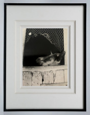 MARCEL COEN (1918-2008) PHOTOGRAPH THE SHEEP 1960 (11)