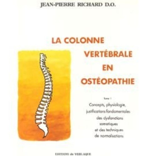 Colonne vertebrale en - la,
