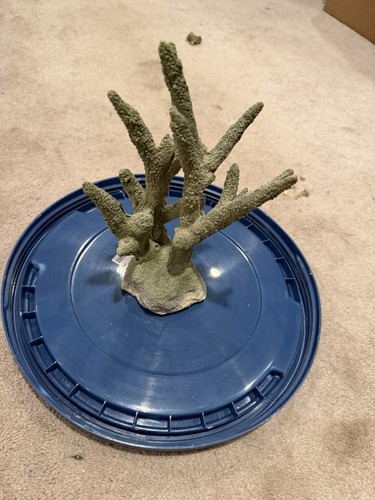 Artificial coral staghorn - coral,