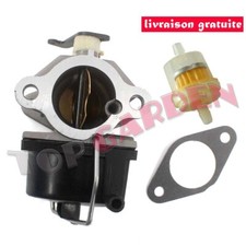 Carburateur et Joint pour MTD