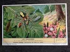 CHROMO LIEBIG SERIE LES