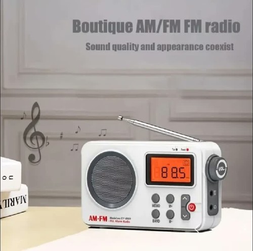 Radio portable digitale fm - portable,