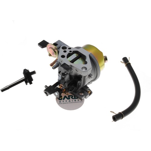 Carburateur compatible avec