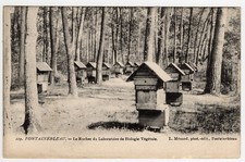 CPA 77 FONTAINEBLEAU - LE