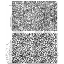 Tim Holtz Stampers Anonymous