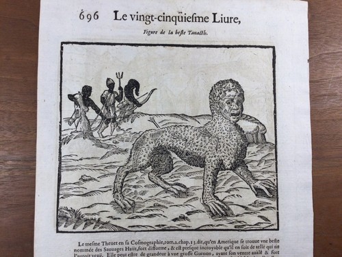 Chasse amérique 1614 arc - en,