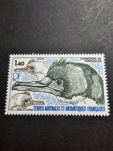Timbre france taaf faune - timbre,
