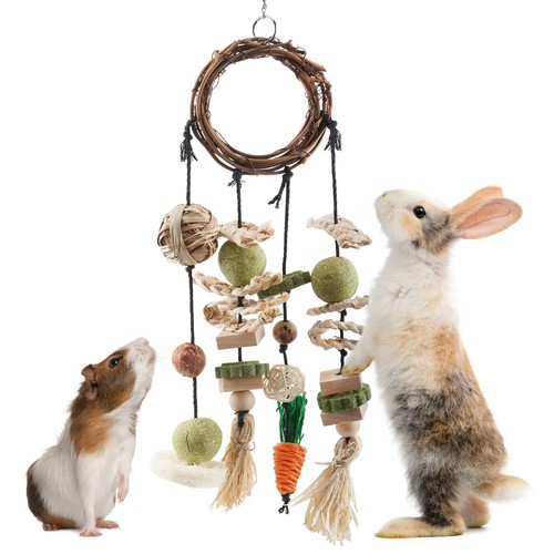 Jouets mâcher pour lapin - à,