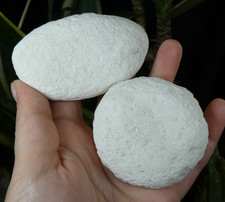 Lot 2 galets Craie naturelle