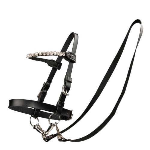 Mon hobby cheval - cheval, pour
