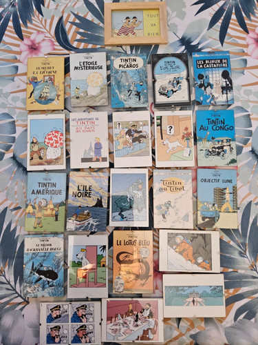Tintin lot 23 cadres - -,