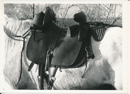 Camargue 1935 selle - 1935,